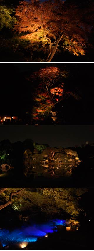 六義園の紅葉ライトアップ