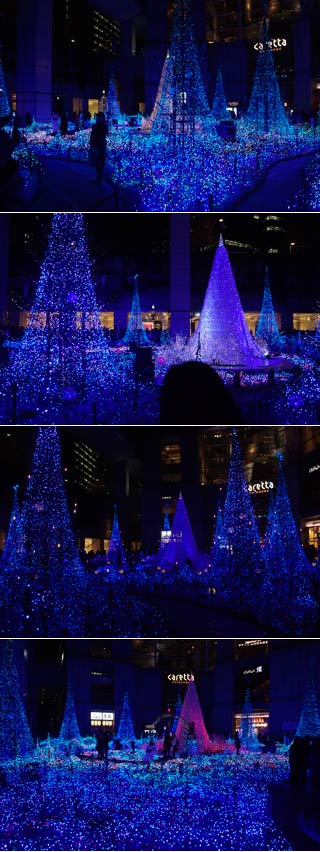 Caretta Illumination 2011