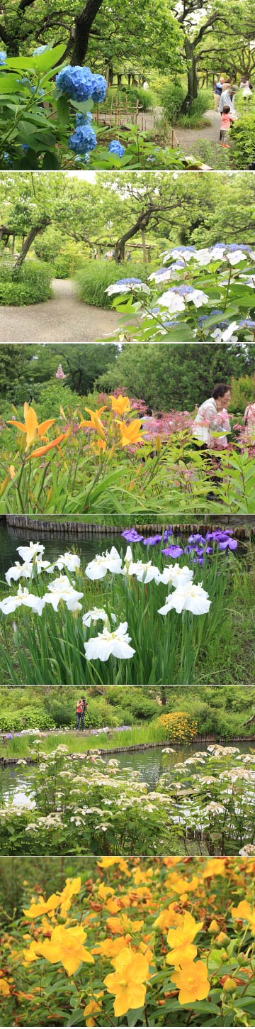 向島百花園