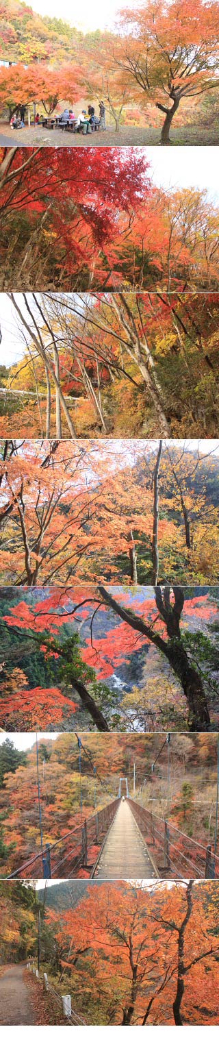 Sogaku Valley