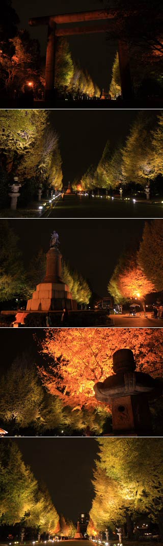 Lighten up Ginkgo of Yasukuni