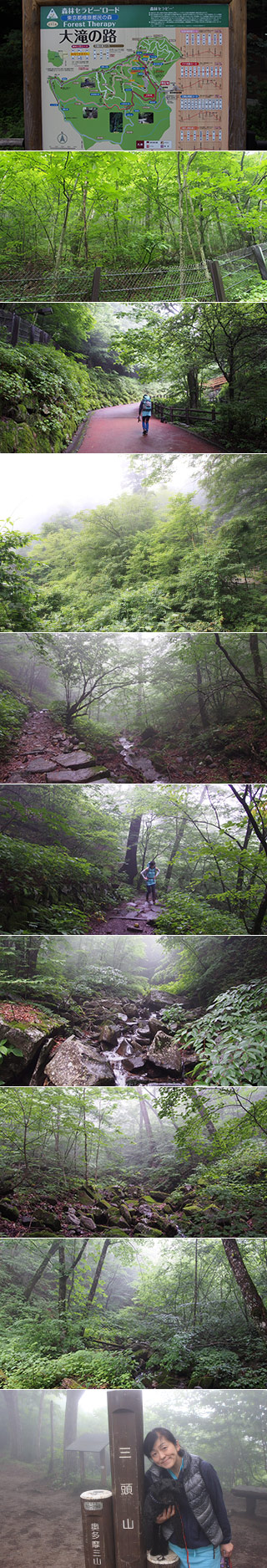 Mt. Mito Trekking