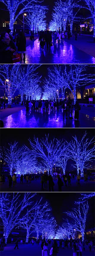 Blue Cave at Yoyogi Park