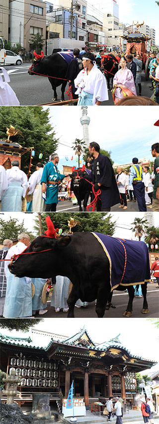 牛嶋神社例大祭