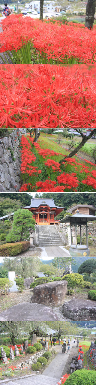 Rensyoin Jorakuji Temple