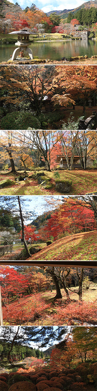 古峯園の紅葉