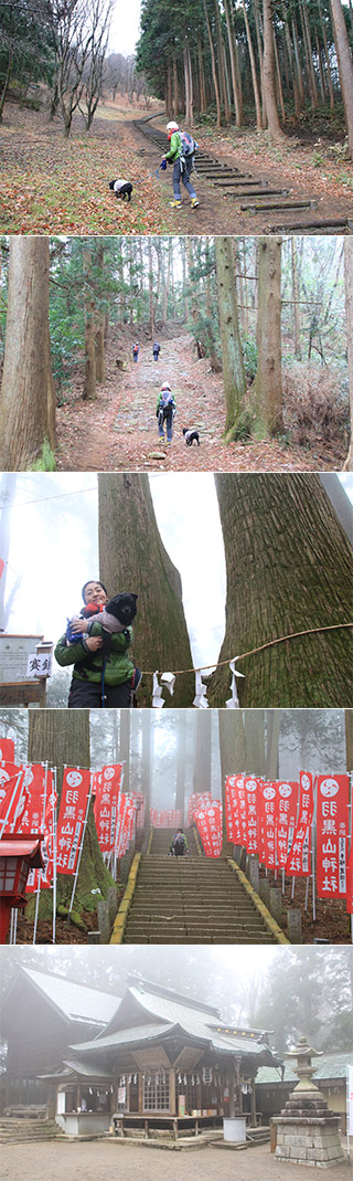 Hiking at Mt. Haguro