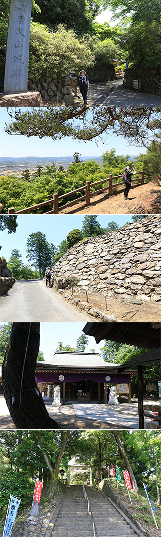 唐沢山城