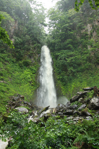 雨滝