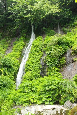 Amedaki Nunobiki Falls 