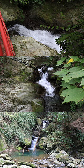 薬師の滝