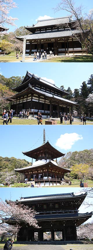 Negoroji temple