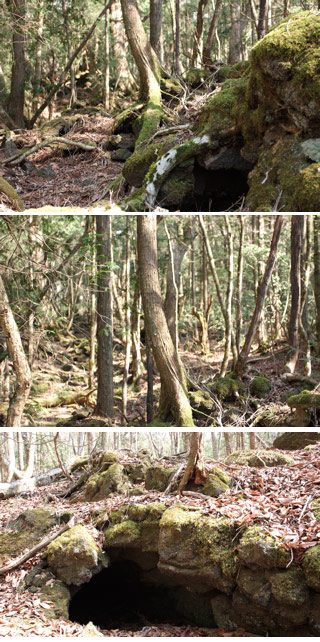 Aokigahara Jukai