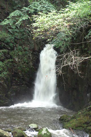 Kiyosato Otaki Falls