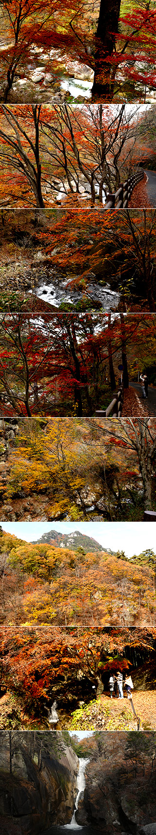 御岳昇仙峡の紅葉