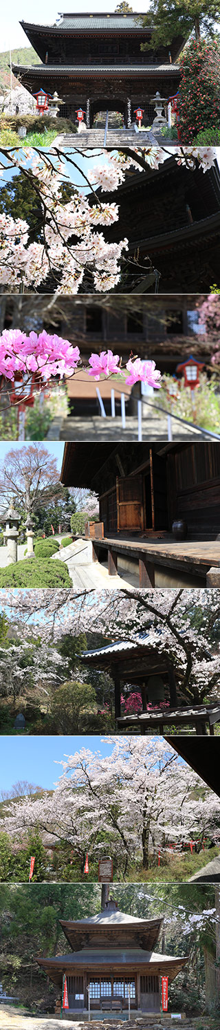 大善寺