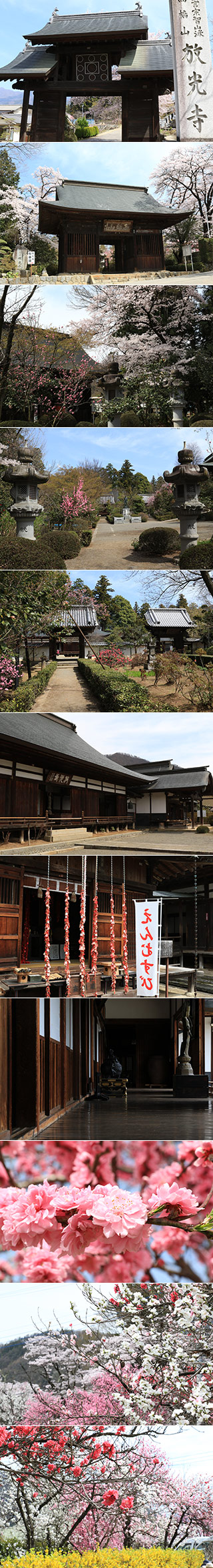 Hokoji Temple