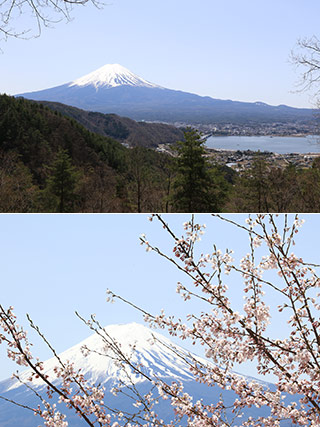 母の白滝の富士