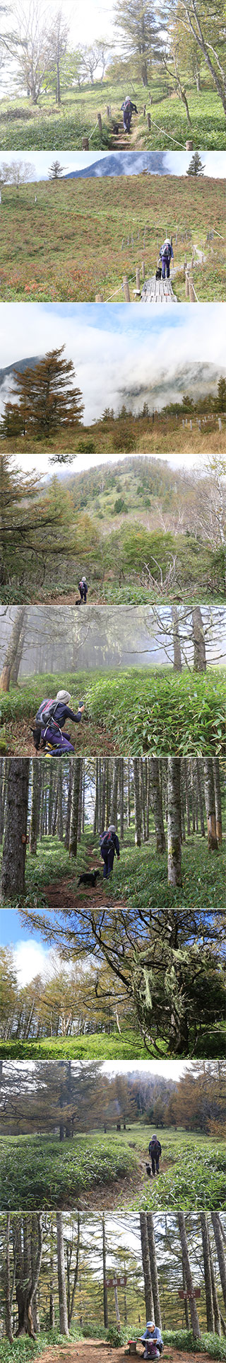 Trekking at Mt. Sentoboshi