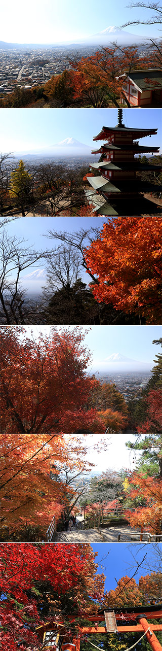 Koyo at Chureito