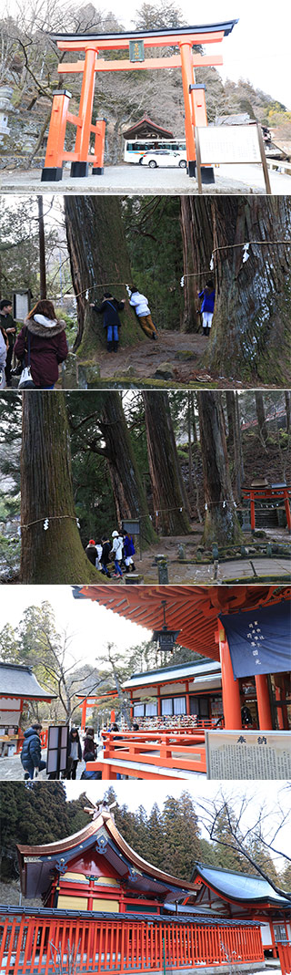 金櫻神社