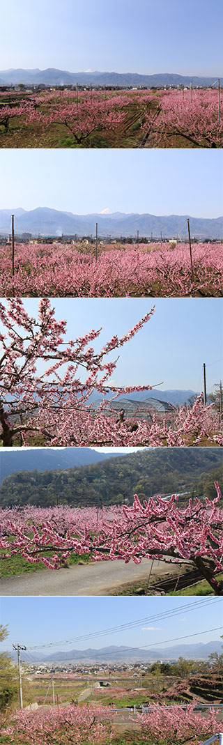 春日居の桃源郷