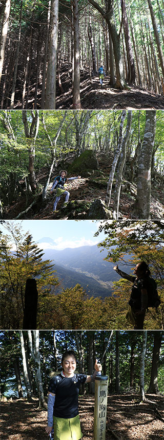 鳥の胸山ハイキング