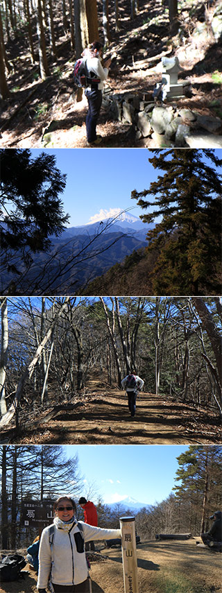 扇山ハイキング